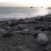 Review photo of Islay Creek Campground — Montaña de Oro State Park by Kelly S., May 31, 2017