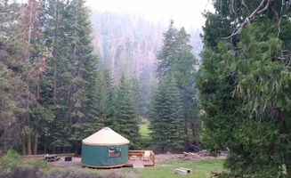 Ryan W.'s photo at Redwood Meadow near Johnsondale, CA