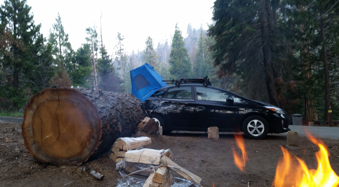 Camper submitted image from Redwood Meadow - 2