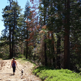 Review photo of Redwood Meadow by Ryan W., May 31, 2017