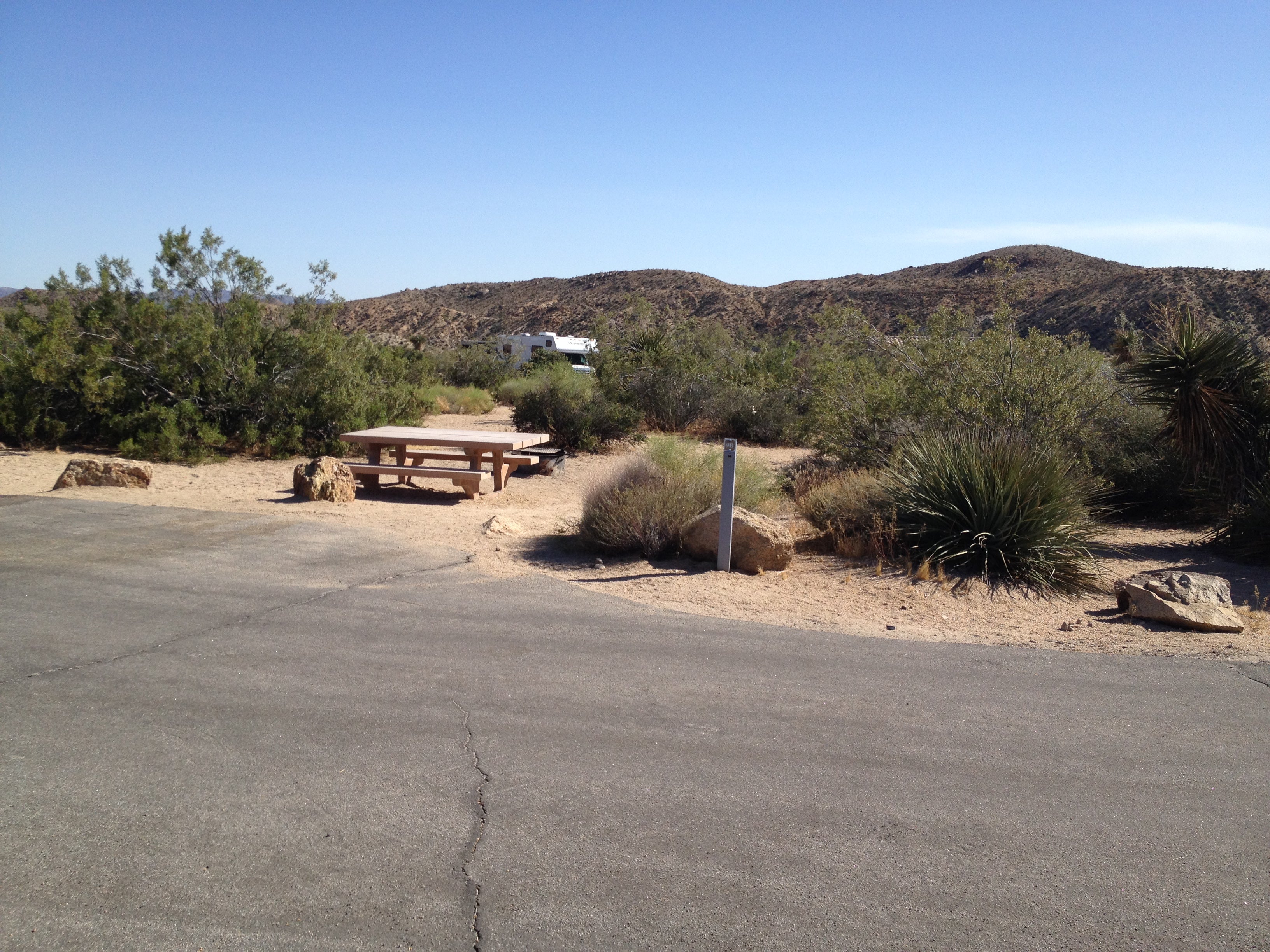 Camper submitted image from Cottonwood Campground — Joshua Tree National Park - 4