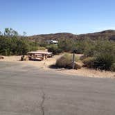 Review photo of Cottonwood Campground — Joshua Tree National Park by phillip L., May 31, 2017