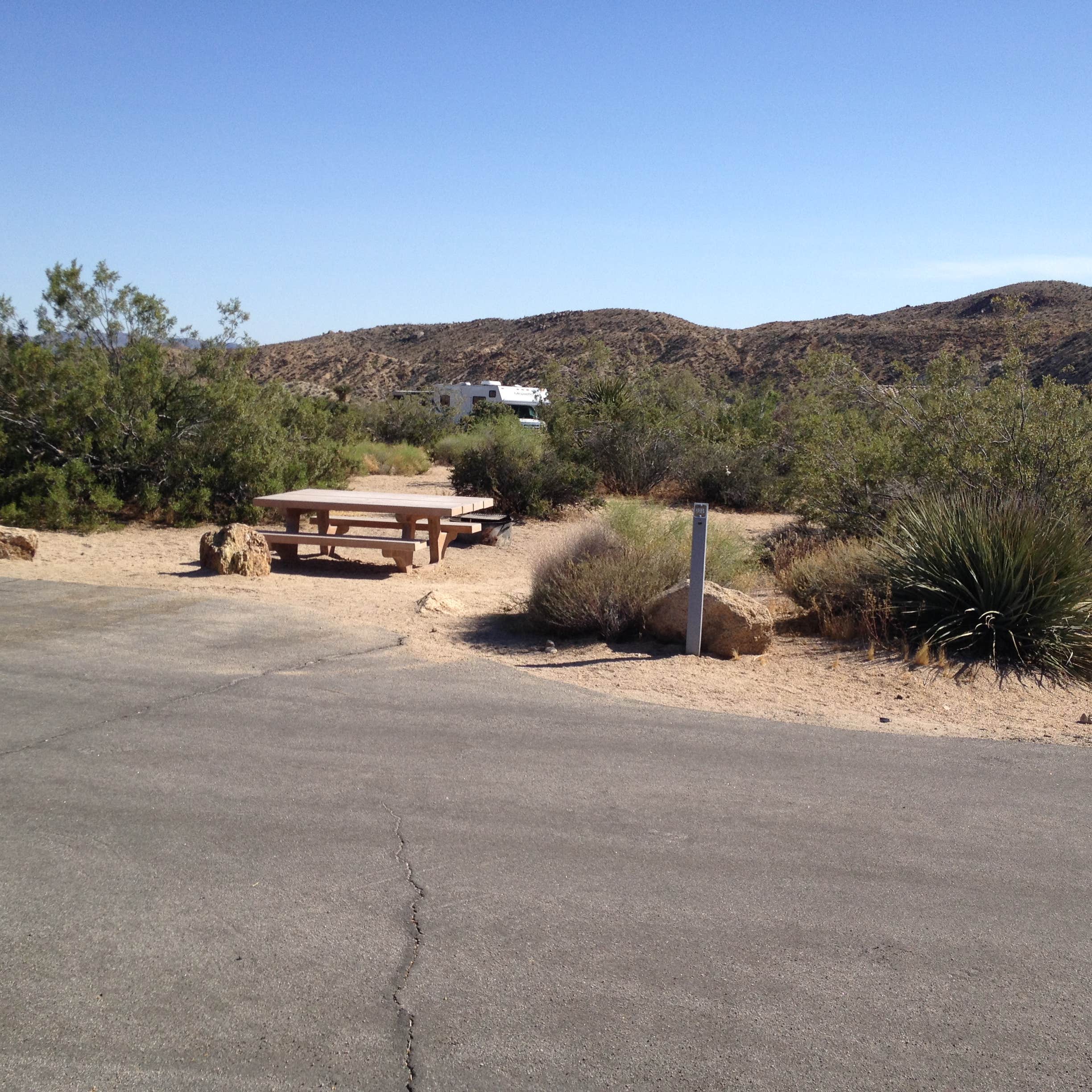 Cottonwood Campground Joshua Tree National Park Camping The Dyrt
