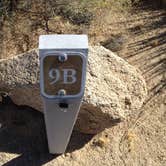 Review photo of Cottonwood Campground — Joshua Tree National Park by phillip L., May 31, 2017