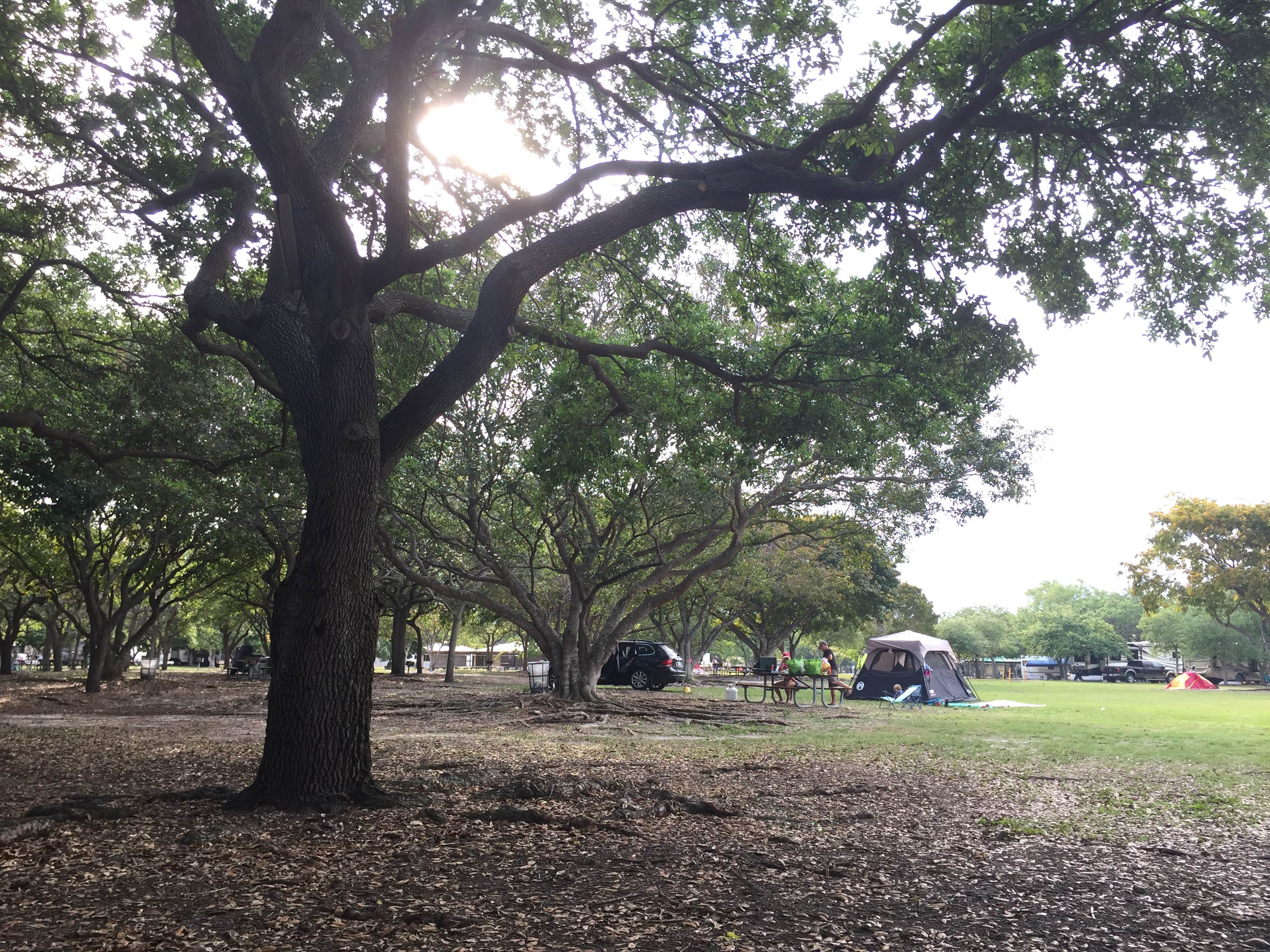 Camper-submitted photo at Larry & Penny Thompson Park near Biscayne National Park