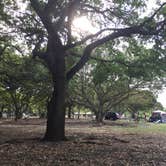 Review photo of Larry & Penny Thompson Park by Anjuli W., May 31, 2017