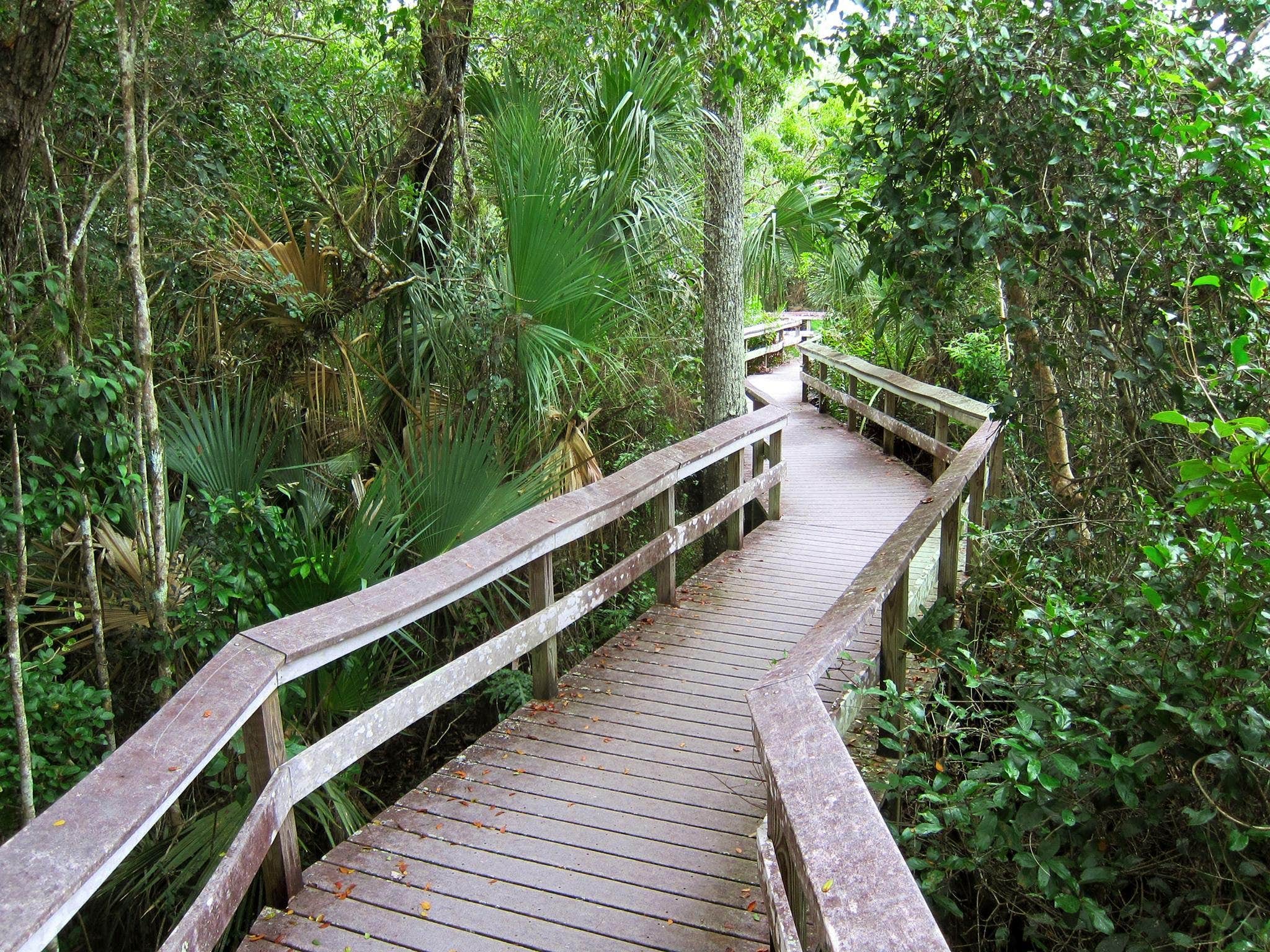 Camper submitted image from Flamingo Campground — Everglades National Park - 4