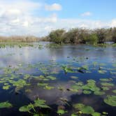 Review photo of Flamingo Campground — Everglades National Park by Anjuli W., May 31, 2017