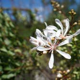 Review photo of Savannas Recreational Park by Anjuli W., May 31, 2017