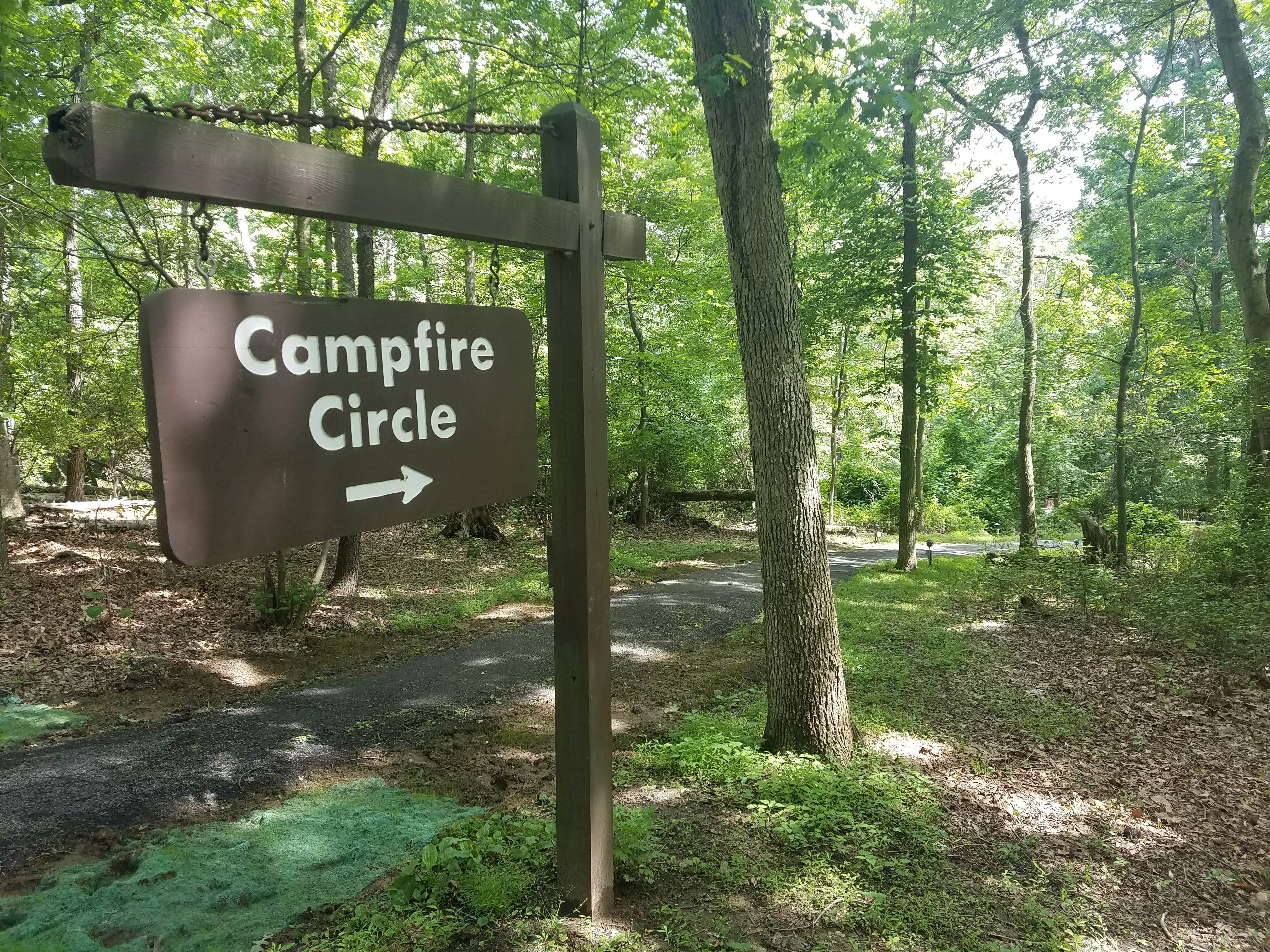 Camper submitted image from Greenbelt Park Campground — Greenbelt Park - 2