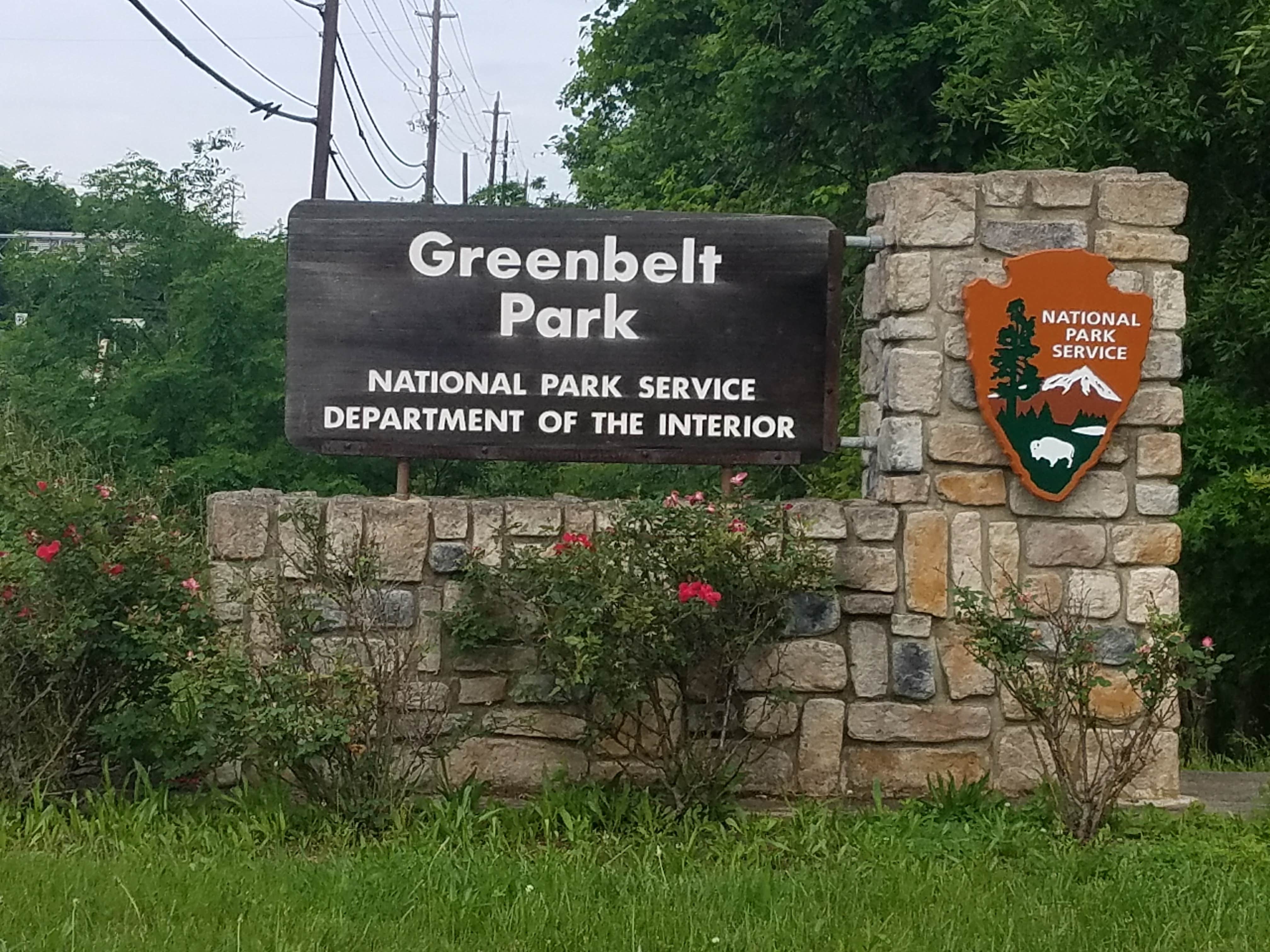 Camper submitted image from Greenbelt Park Campground — Greenbelt Park - 3