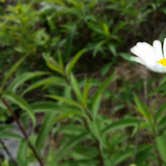 Review photo of North-South Lake Campground by Chris D., May 10, 2017