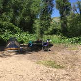 Review photo of Weber Memorial Park by Sean W., June 19, 2016
