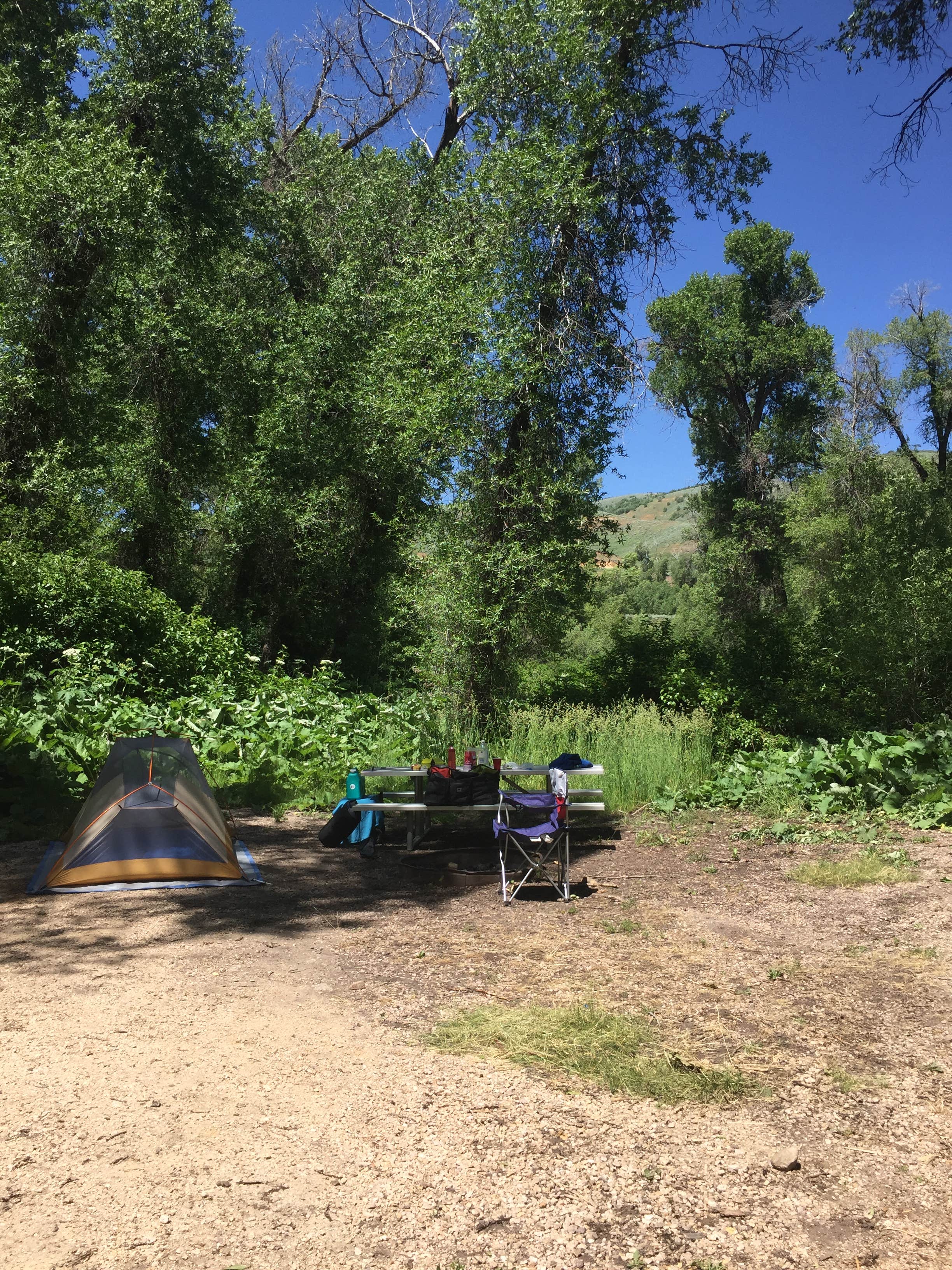 Camper submitted image from Weber Memorial Park - 2