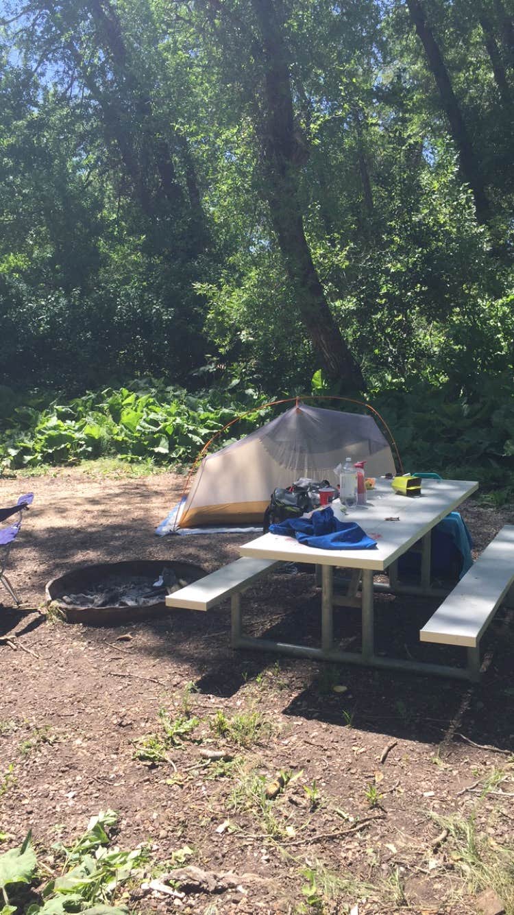 Camper submitted image from Weber Memorial Park - 5