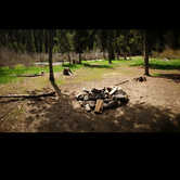 Review photo of Huckleberry Campground — Lake Cascade State Park by Simran D., May 31, 2017