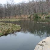 Review photo of Laurel Hill State Park Campground by Danielle V., June 19, 2016