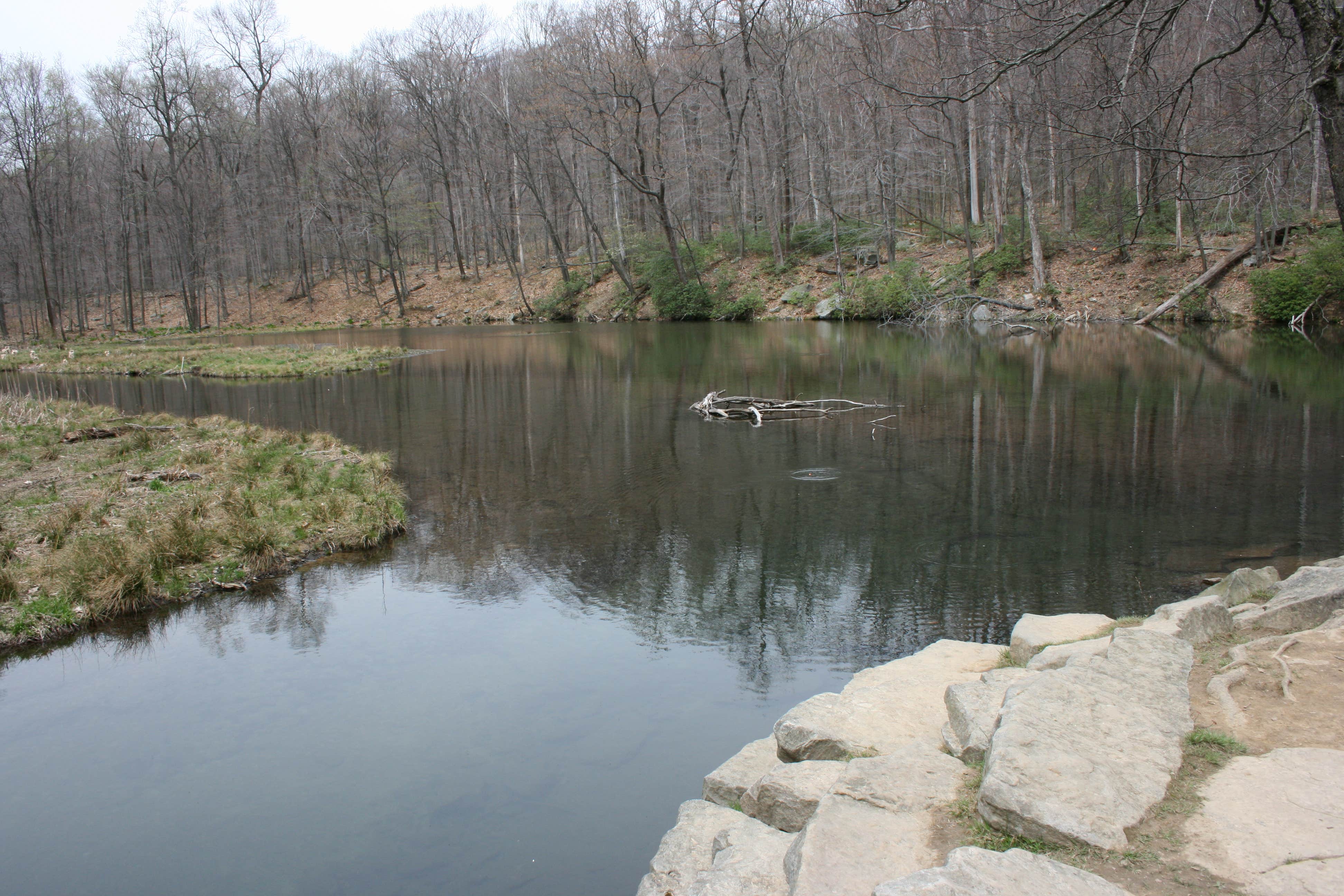 Camper submitted image from Laurel Hill State Park Campground - 3