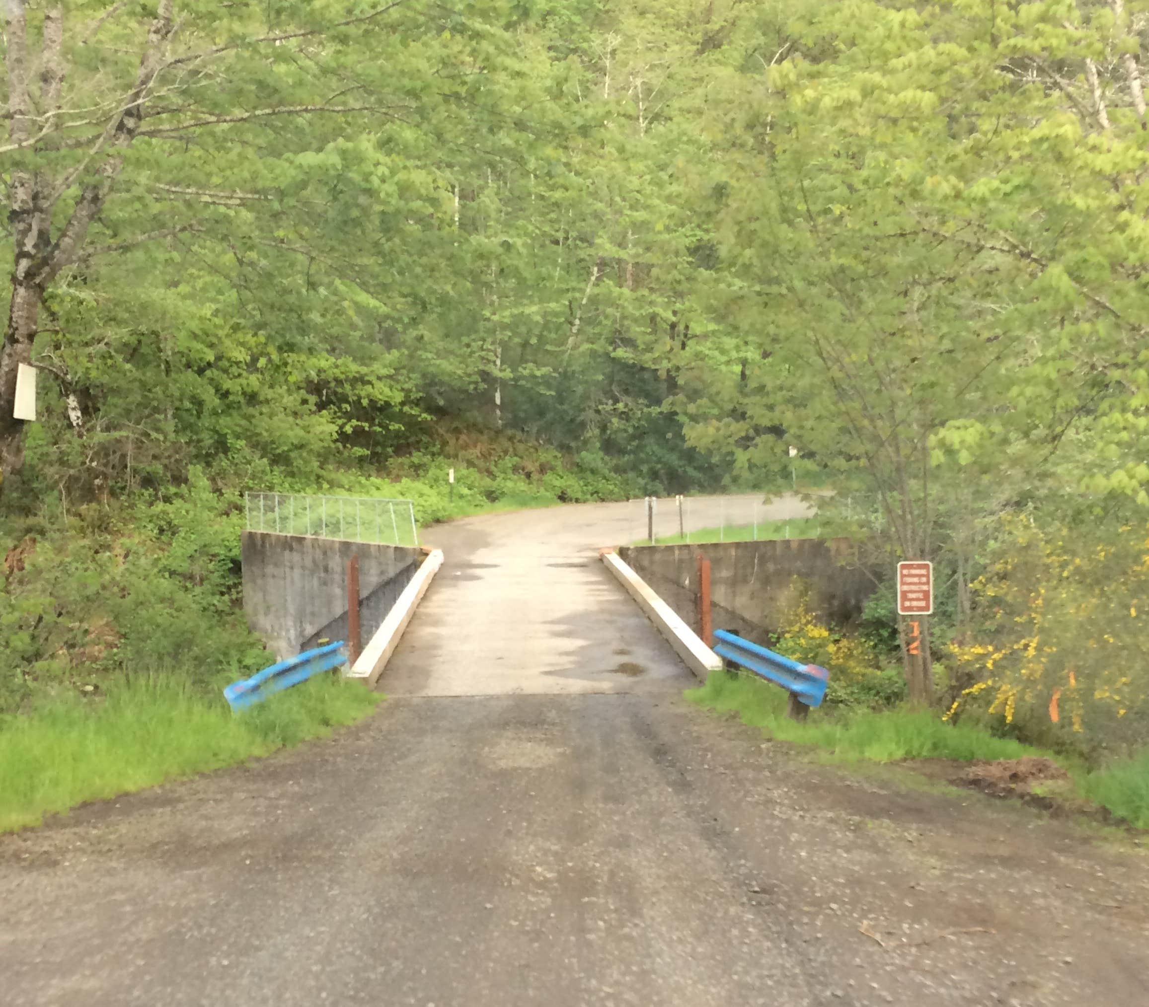 Camper submitted image from Keenig Creek Campground - 4