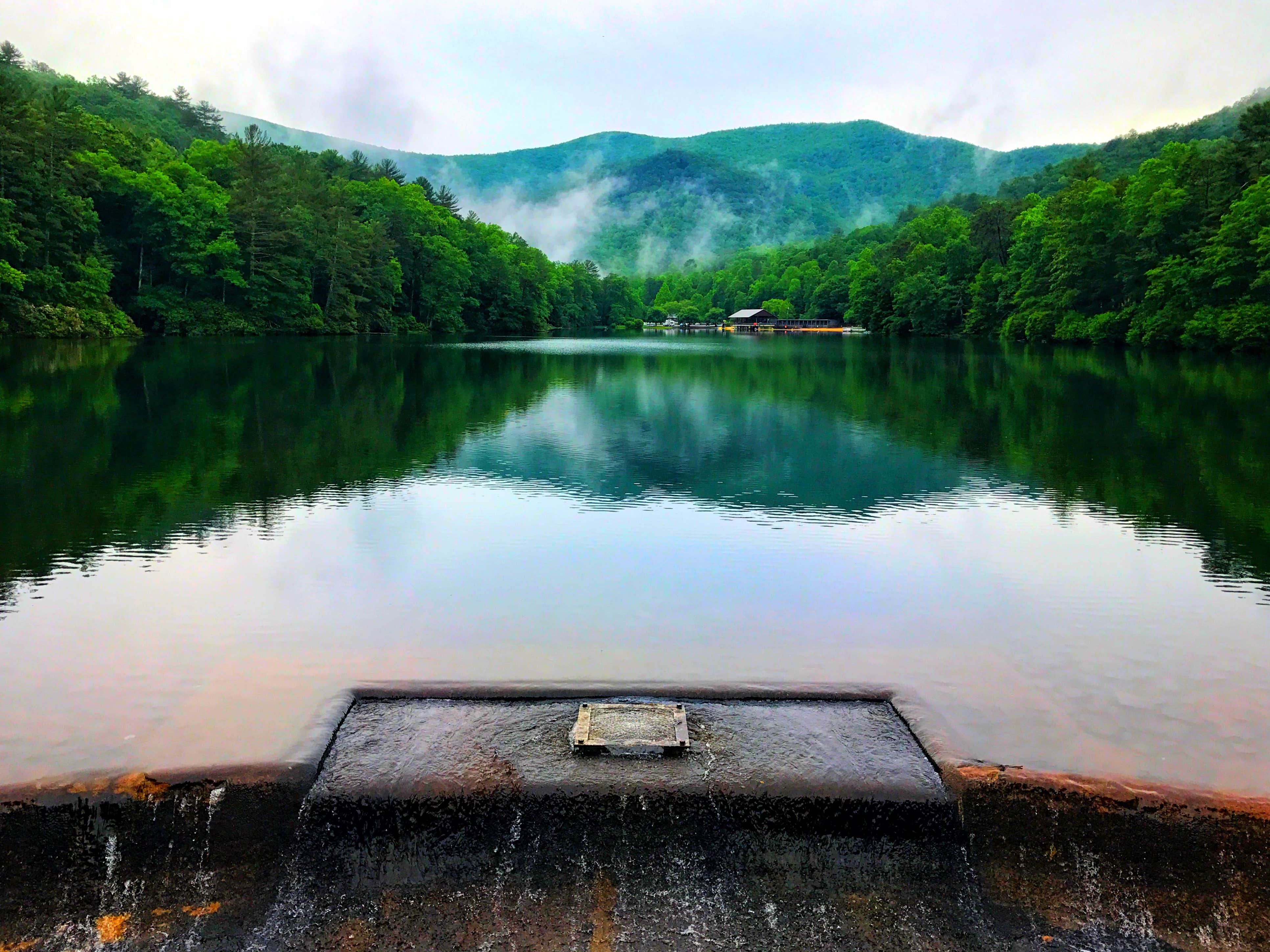 Vogel State Park Campground
