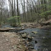 Review photo of Laurel Hill State Park Campground by Danielle V., June 19, 2016