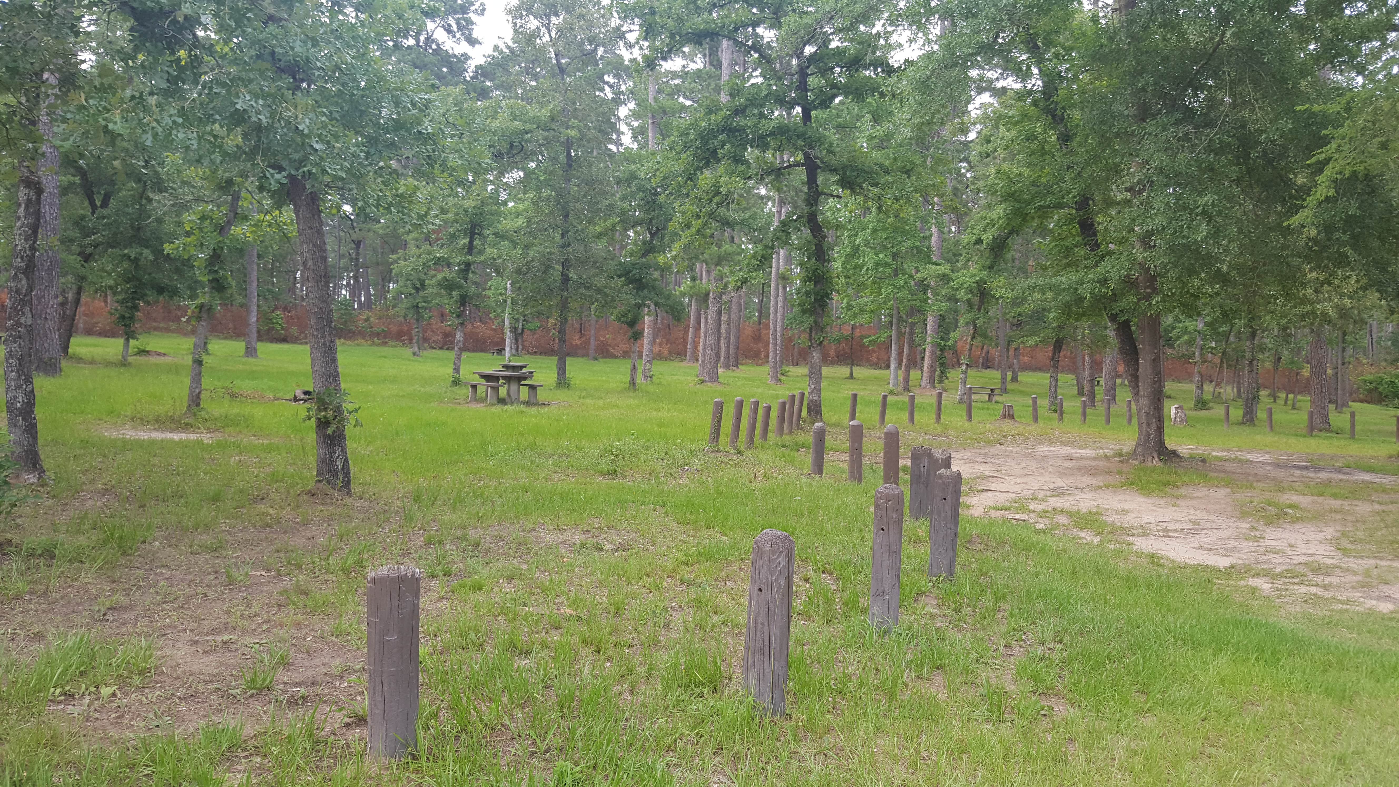 Camper-submitted photo at Kelly's Pond Campground near Huntsville, TX