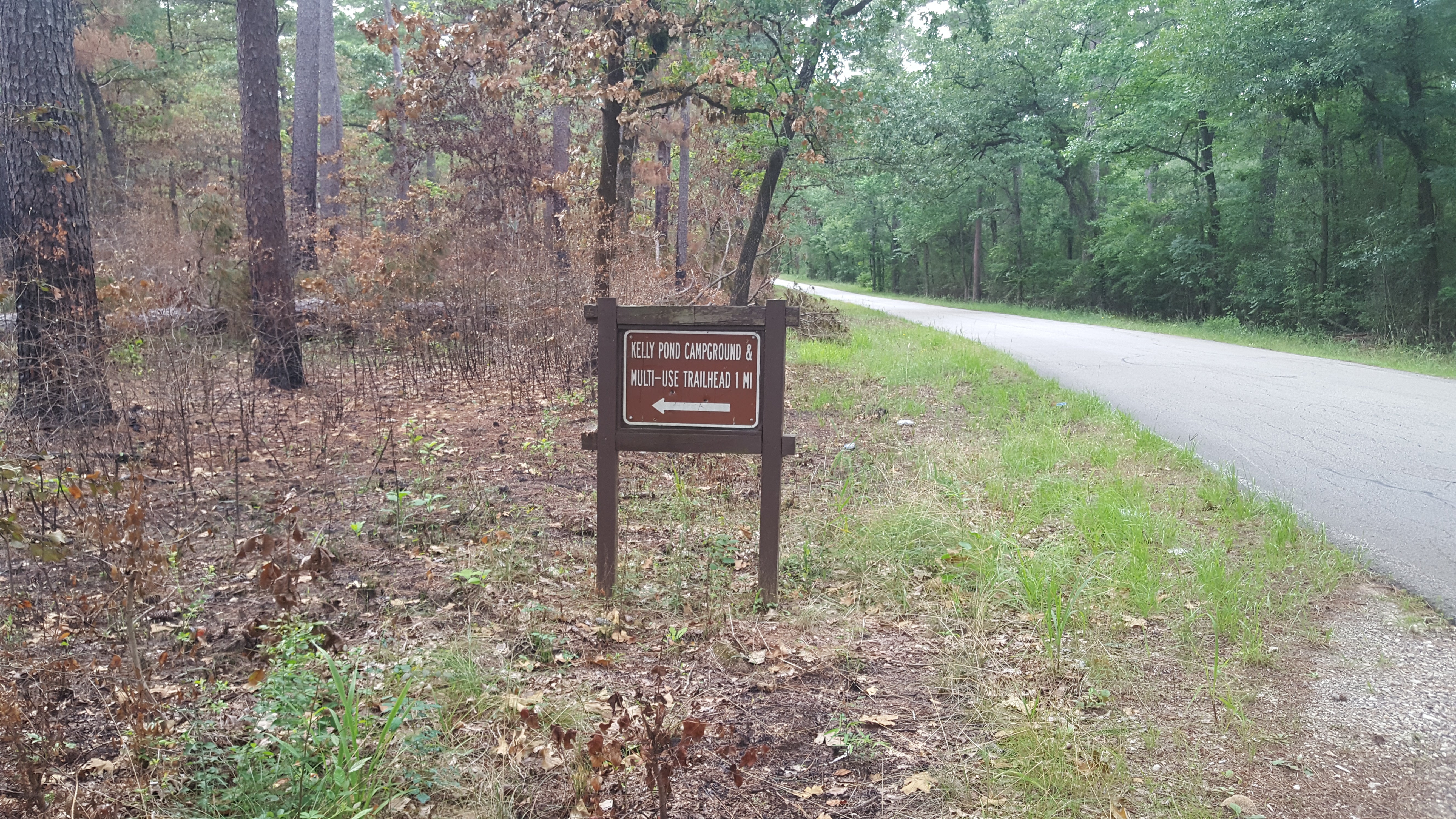 Road sign to campground