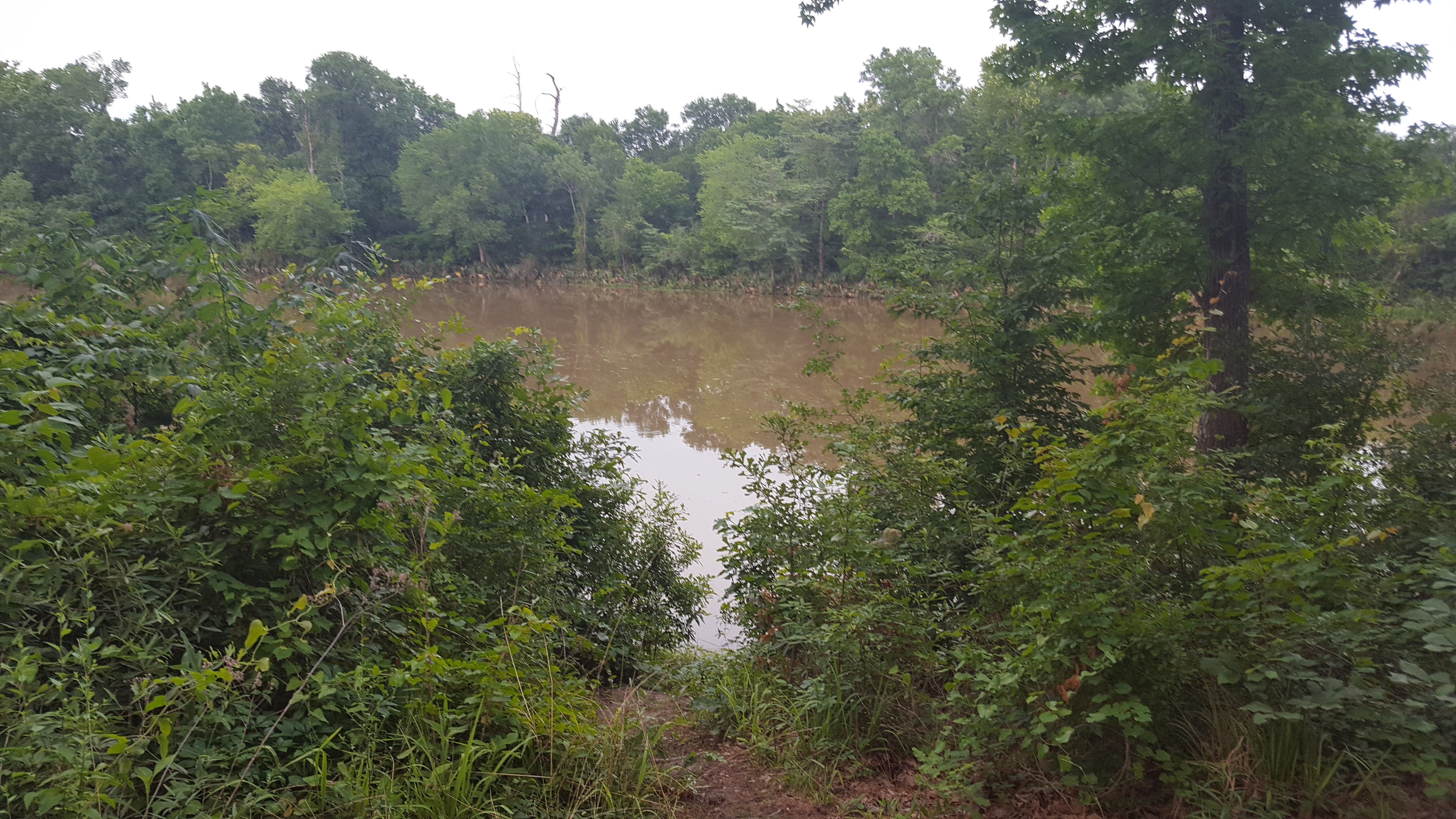 Camper submitted image from Stubblefield Lake Recreation Area - 1