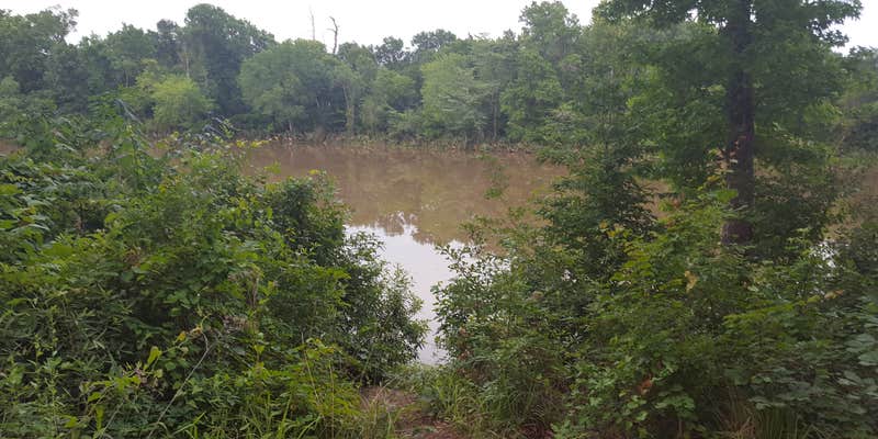 Camper submitted image from Stubblefield Lake Recreation Area