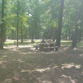 Review photo of Huntsville State Park Campground by Brian V., May 31, 2017