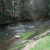 Review photo of Laurel Hill State Park Campground by Danielle V., June 19, 2016