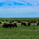 Review photo of Sage Creek Campground by Shari  G., June 1, 2017