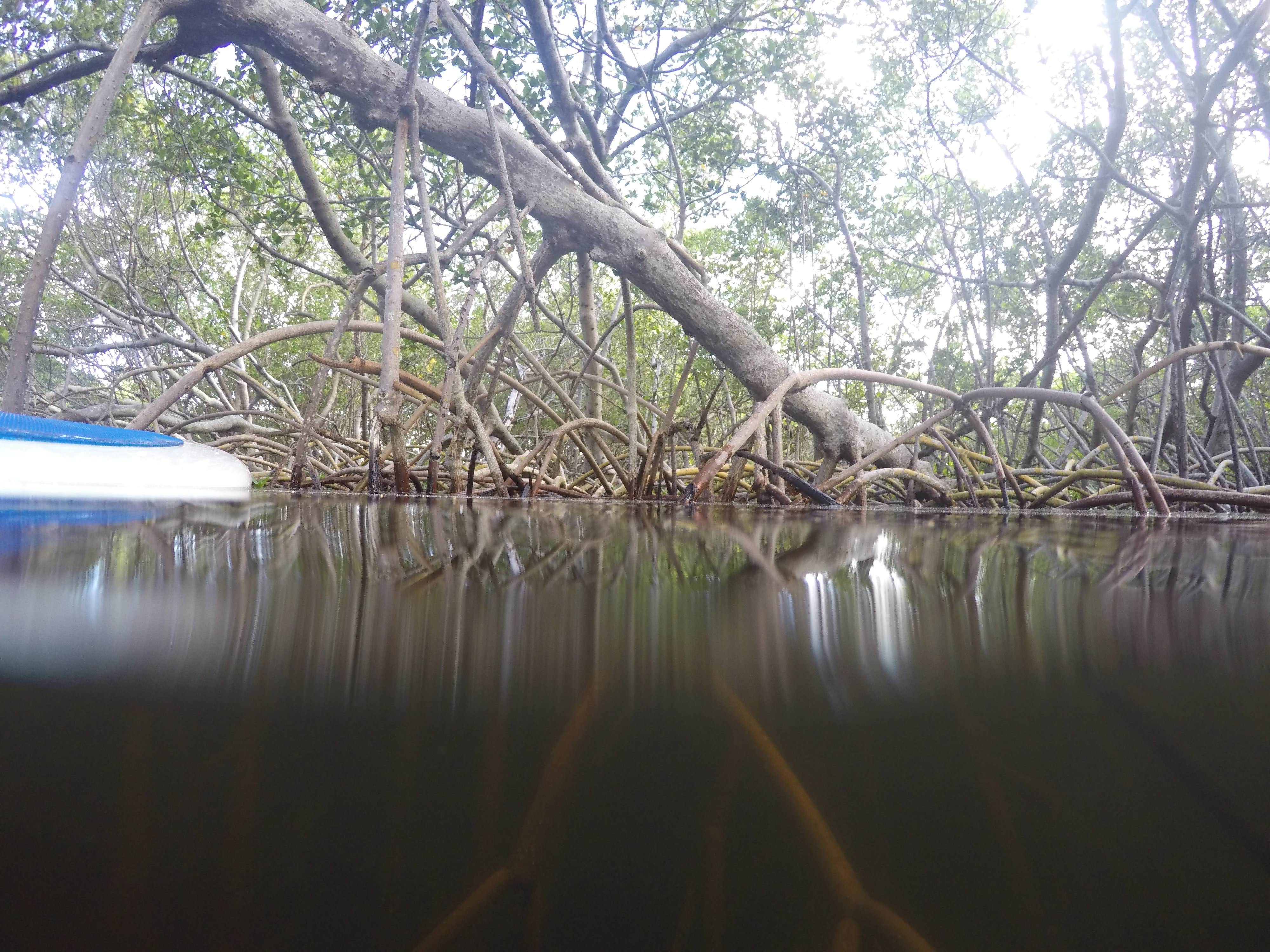 John Pennekamp Coral Reef State Park Campground