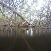 Review photo of John Pennekamp Coral Reef State Park Campground by Elliott B., June 1, 2017