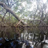 Review photo of John Pennekamp Coral Reef State Park Campground by Elliott B., June 1, 2017
