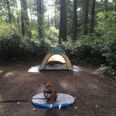 Review photo of Fort Ebey State Park Campground by Erin S., June 19, 2016