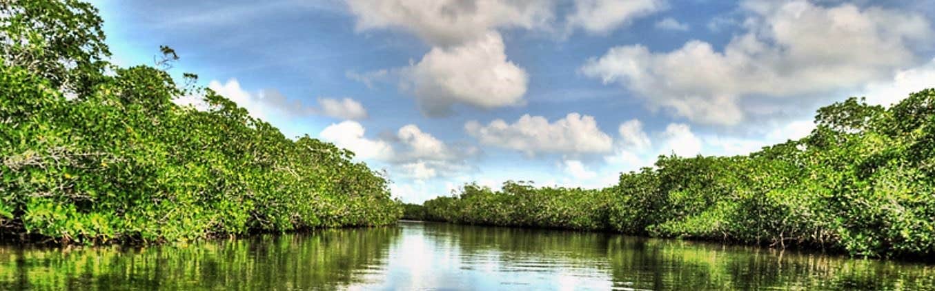 Camper-submitted photo at John Pennekamp Coral Reef State Park Campground near Biscayne National Park