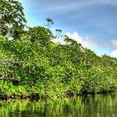 Review photo of John Pennekamp Coral Reef State Park Campground by Elliott B., June 1, 2017