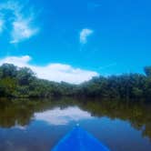 Review photo of Caladesi Island State Park Campground by Elliott B., June 1, 2017