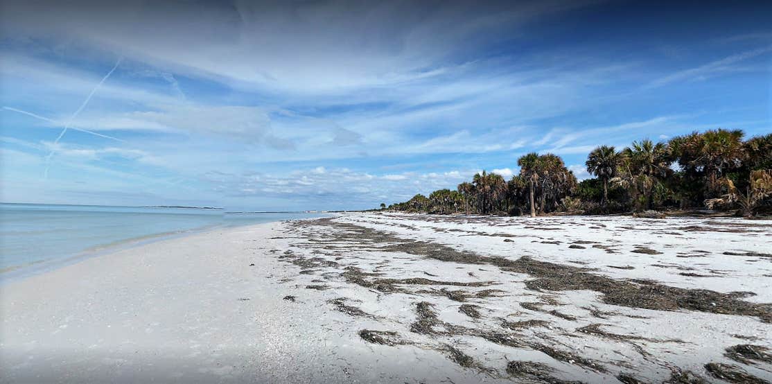 Caladesi Island State Park Camping The Dyrt