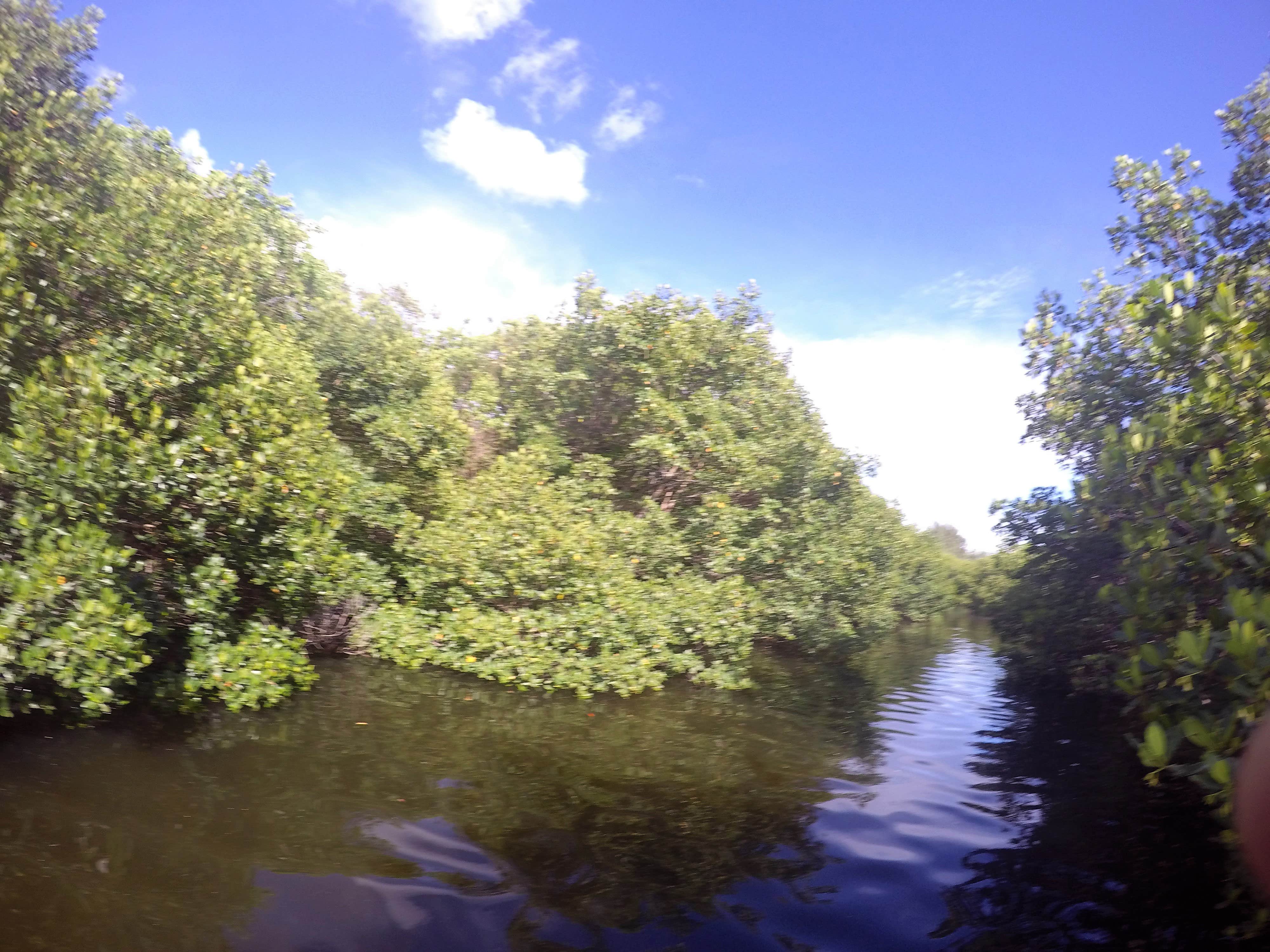 Camper submitted image from Caladesi Island State Park Campground - 2