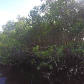 Review photo of Caladesi Island State Park Campground by Elliott B., June 1, 2017