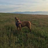 Review photo of Fort Ebey State Park Campground by Erin S., June 19, 2016