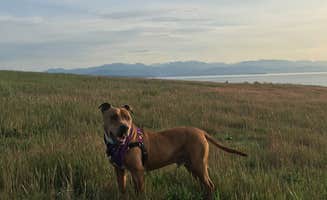 Erin S.'s photo of camping with pets at Fort Ebey State Park Campground near Oak Harbor, WA