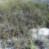 Review photo of Shell Key Preserve by Elliott B., June 1, 2017