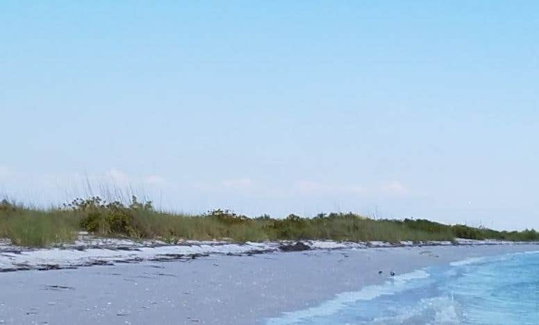 Shell Key Preserve