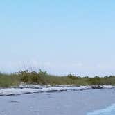 Review photo of Shell Key Preserve by Elliott B., June 1, 2017