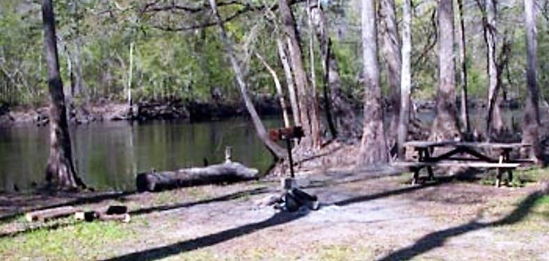 Camper submitted image from Ginnie Springs Outdoors - 3