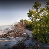 Review photo of Caladesi Island State Park Campground by Elliott B., June 1, 2017