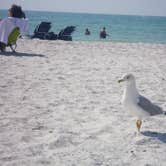Review photo of Fort De Soto Campground by Elliott B., May 31, 2017